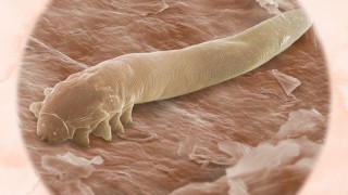 Разъяснения 3 сезон 7 серия