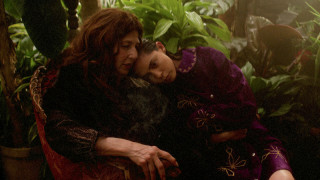 Новый вишнёвый вкус 1 сезон 2 серия