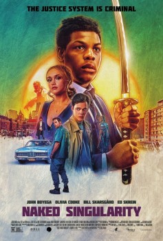 Голая сингулярность постер