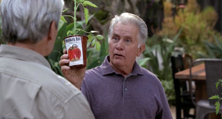 Грейс и Фрэнки 3 сезон 9 серия Грейс и Фрэнки 3 сезон 9 серия