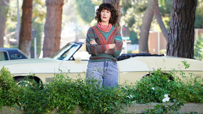 Разноцветная комедия 11 серия Разноцветная комедия 11 серия