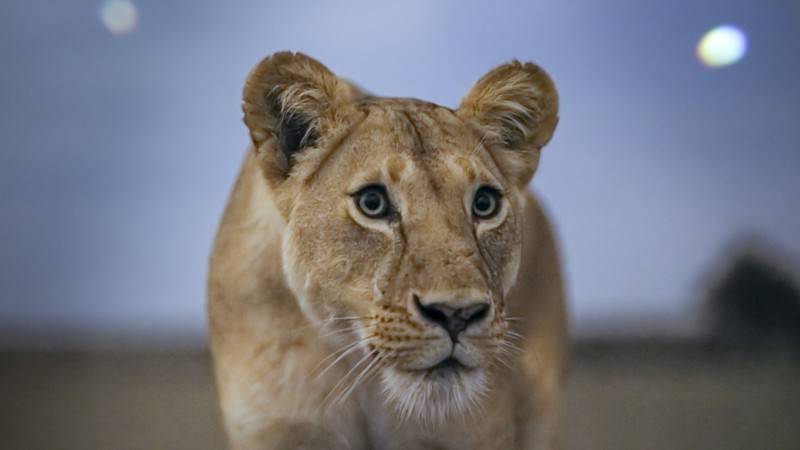 Земля ночью в цвете 1 серия