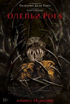 Оленьи рога постер