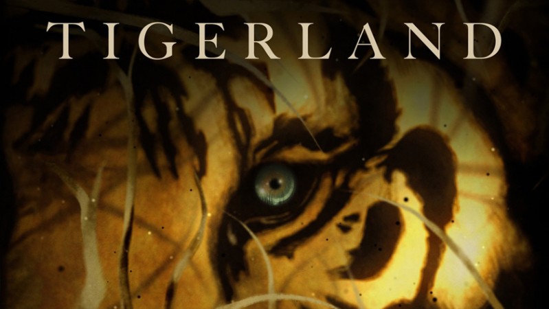 Спасти тигра