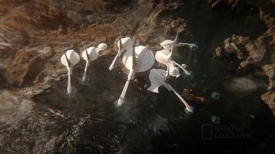 Космос: Возможные миры 2 серия Космос: Возможные миры 2 серия