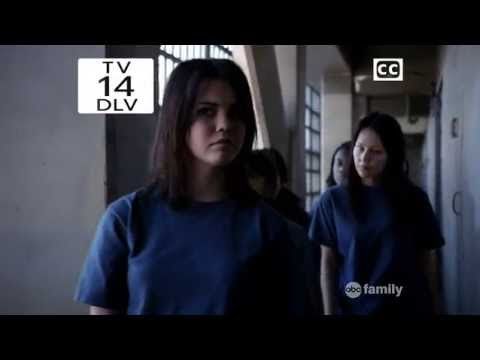 Фостеры 1 серия Фостеры 1 серия