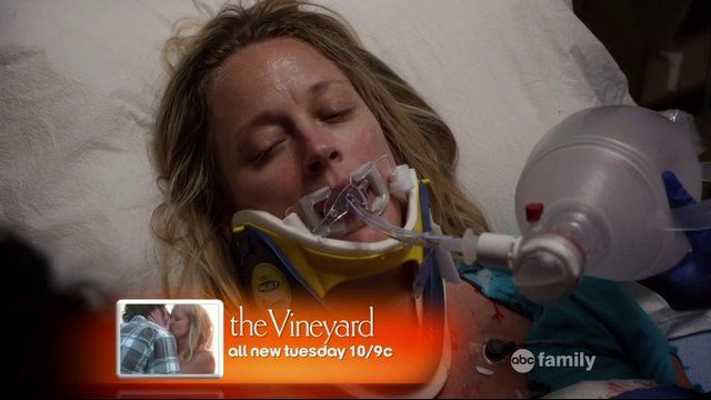 Фостеры 9 серия