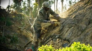 Зелёная планета 1 сезон 5 серия