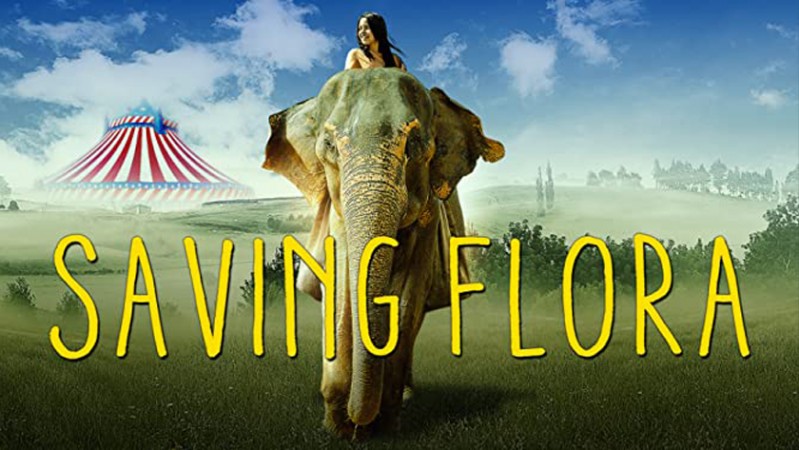 Побег с Фионой