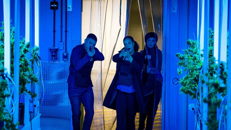 ФБР: Самые разыскиваемые преступники 3 сезон 16 серия