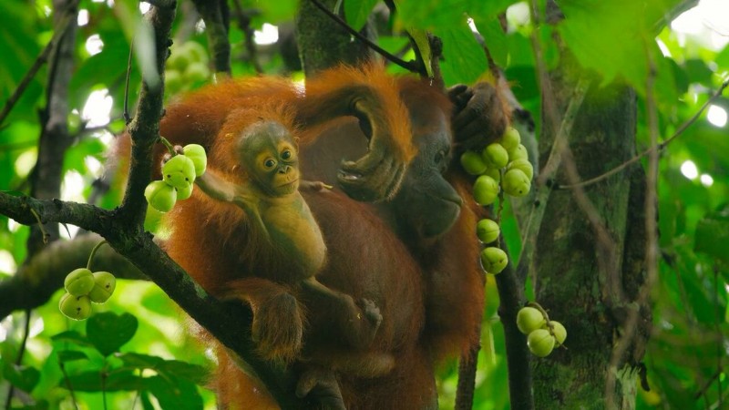 Детки не в клетке 3 серия