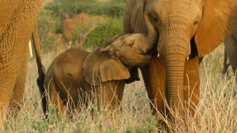 Детки не в клетке 4 серия Детки не в клетке 4 серия