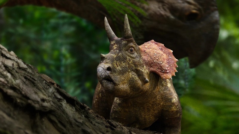 Доисторическая планета 5 серия Доисторическая планета 5 серия