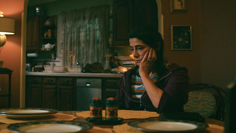 Рами 7 серия