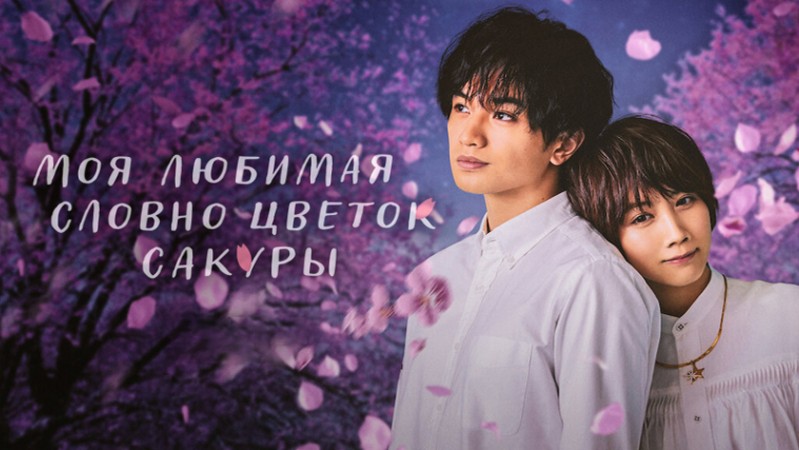 Моя любимая словно цветок сакуры