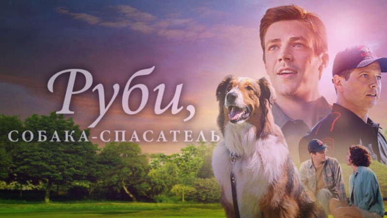 Руби, собака-спасатель