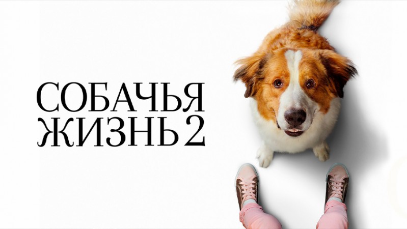 Собачья жизнь 2