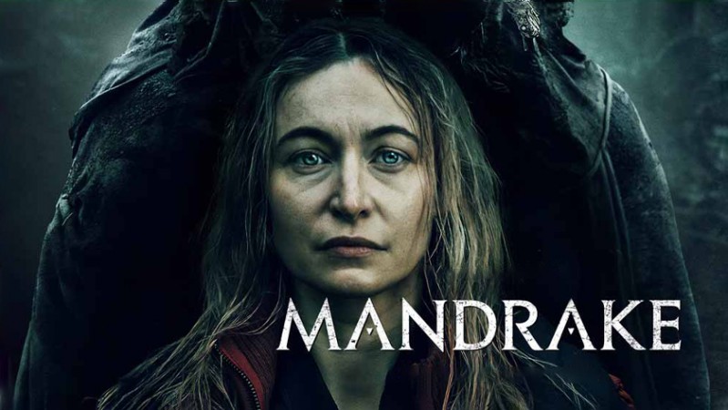 Мандрагора