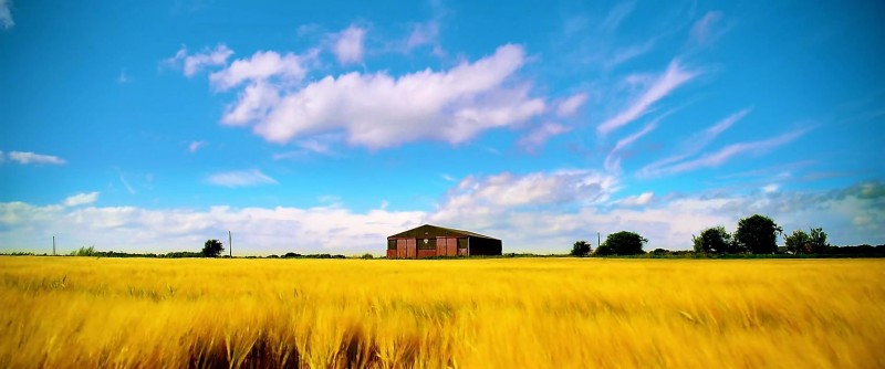 Утопия 2 сезон 4 серия