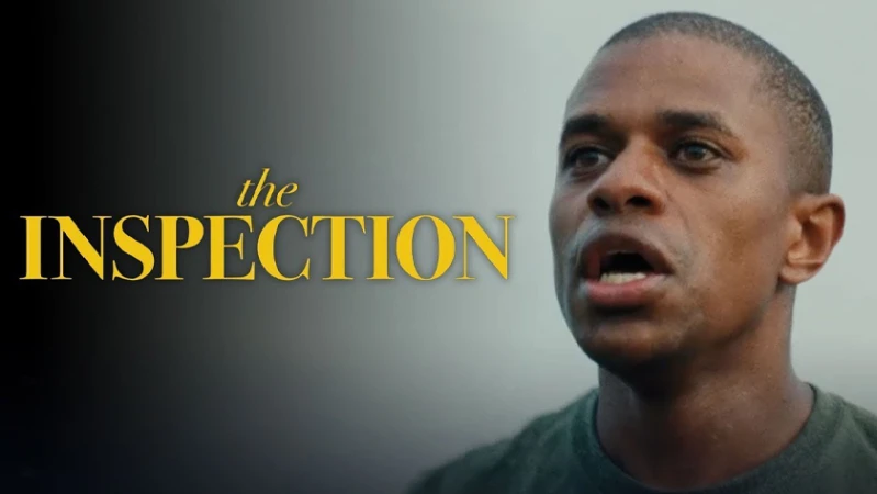 Проверка / Инспекция