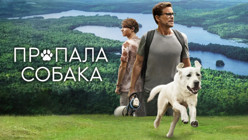 Пропала собака