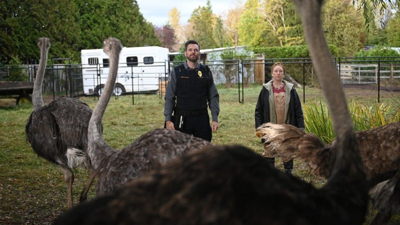 Контроль за животными 1 серия