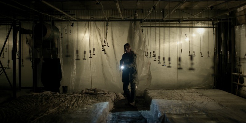 Донкербос 5 серия Донкербос 5 серия