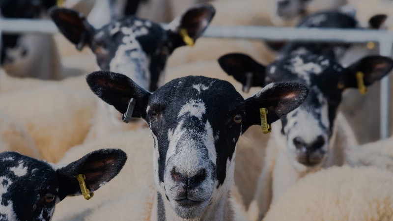 Ферма Кларксона 2 серия Ферма Кларксона 2 серия