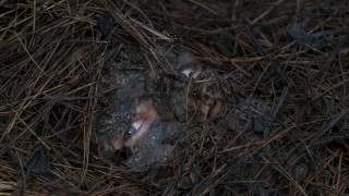 Список смертников 1 сезон 6 серия