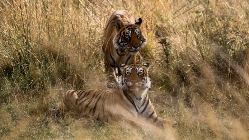 Великаны планеты 9 серия Великаны планеты 9 серия