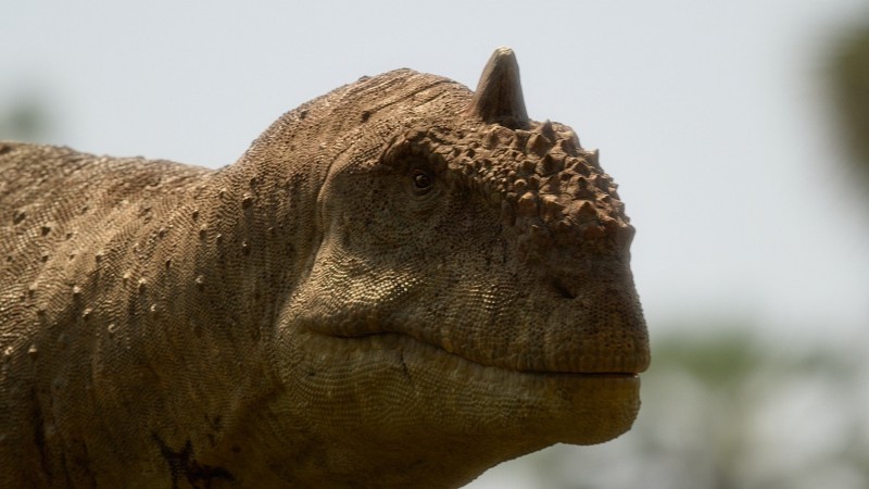 Доисторическая планета 2 сезон 1 серия