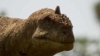 Доисторическая планета 2 сезон 1 серия