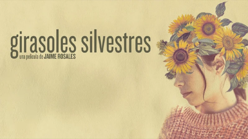 Дикие подсолнухи