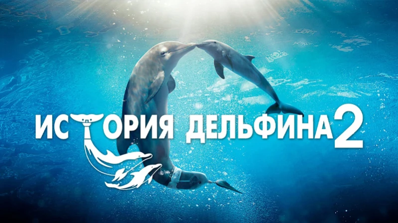 История дельфина 2