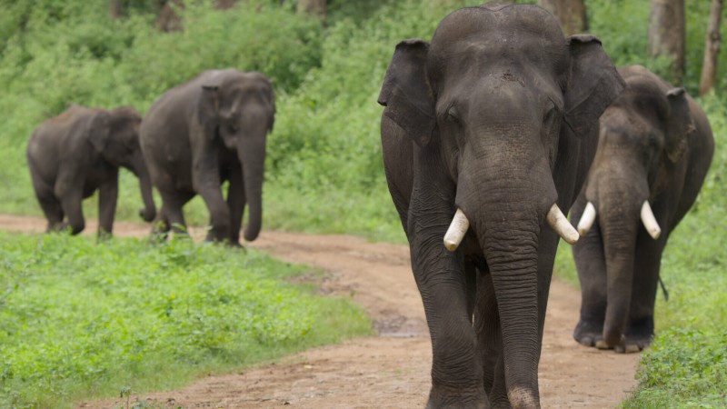 Наша планета 2 сезон 4 серия Наша планета 2 сезон 4 серия