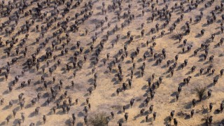 Наша планета 2 сезон 1 серия