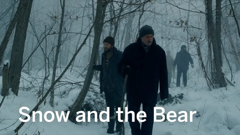Снег и медведь