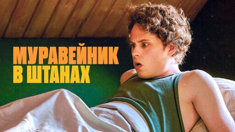 Муравейники в штанах