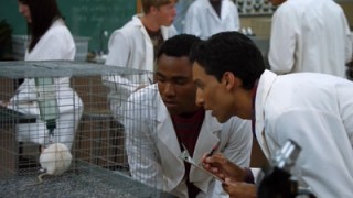 Сообщество 1 сезон 10 серия