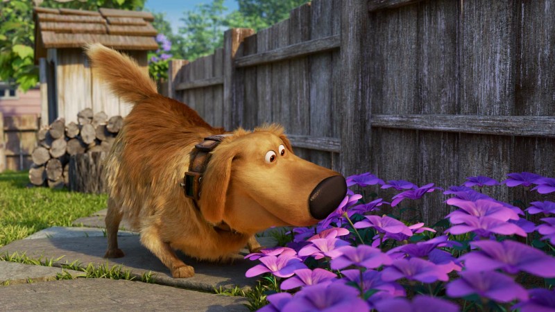 Будни Дага 3 серия Будни Дага 3 серия