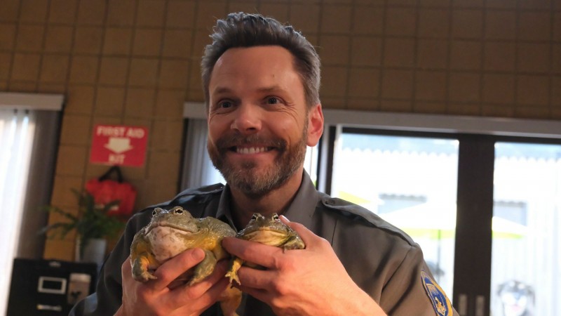 Контроль за животными 2 сезон 9 серия Контроль за животными 2 сезон 9 серия