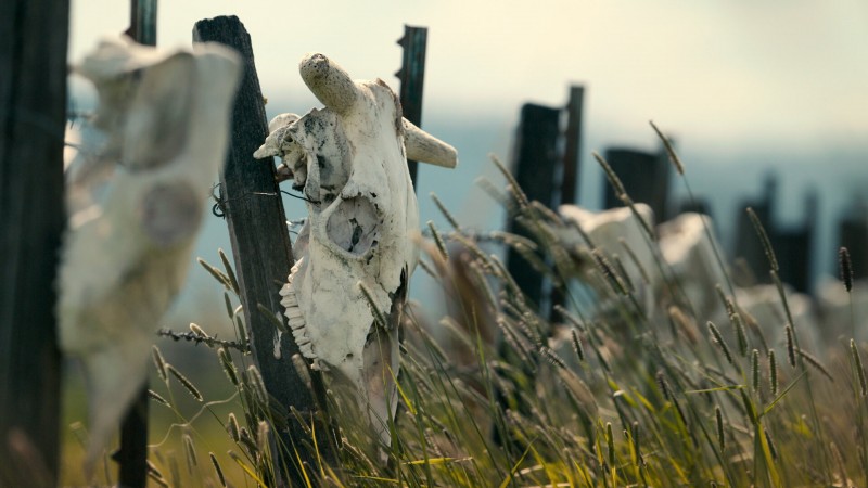 Неразгаданные тайны 5 сезон 3 серия Неразгаданные тайны 5 сезон 3 серия