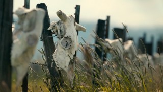 Неразгаданные тайны 5 сезон 3 серия