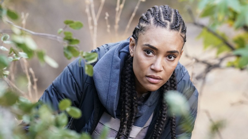 S. W. A. T.: Спецназ города ангелов 8 сезон 13 серия S. W. A. T.: Спецназ города ангелов 8 сезон 13 серия