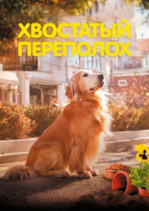 Хвостатый переполох