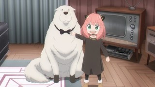 Семья шпиона 1 сезон 15 серия