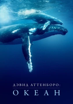 Дэвид Аттенборо: Океан