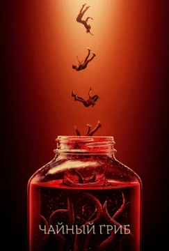Чайный гриб постер