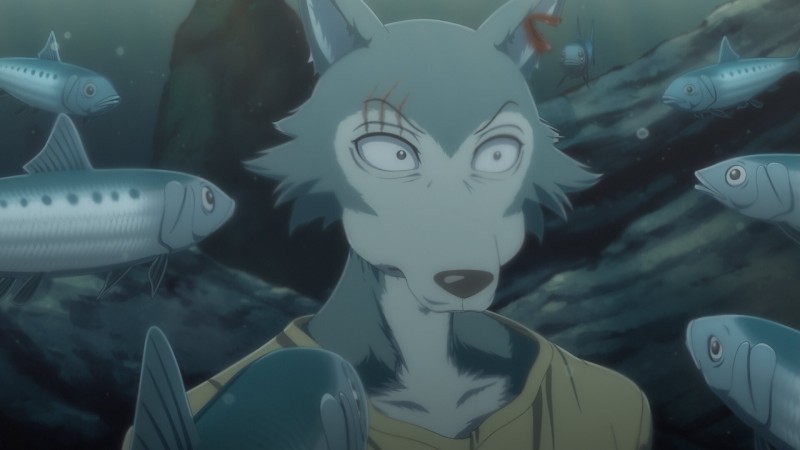 Выдающиеся звери 3 сезон 13 серия Выдающиеся звери 3 сезон 13 серия