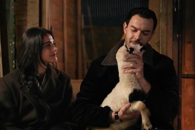 Ты тот, кого я люблю 7 серия